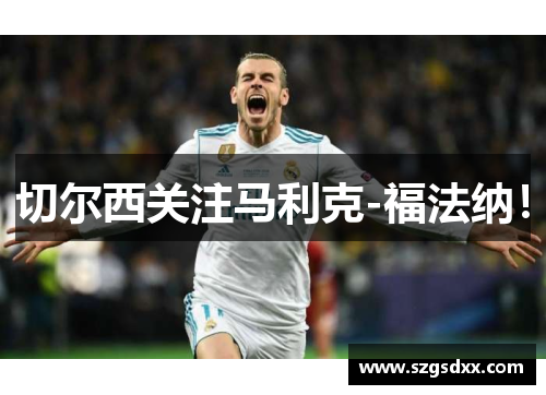 切尔西关注马利克-福法纳！